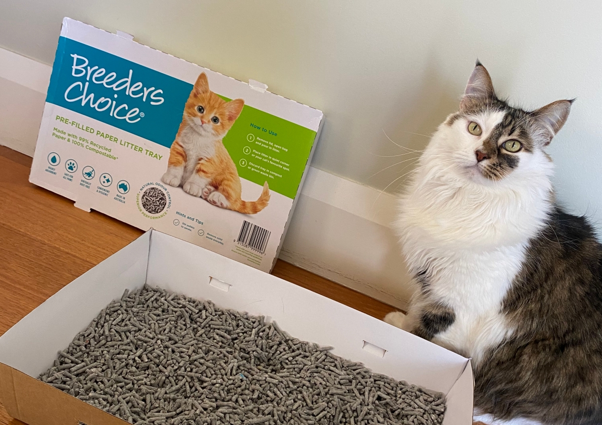 Breeders Choice 2 Wayfarer