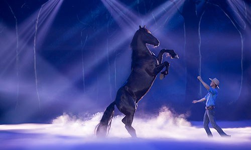 Prize featured image
