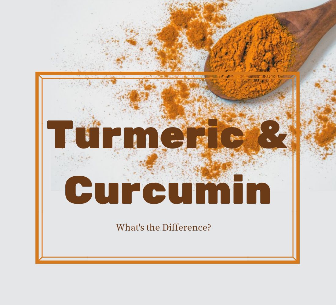 Turmeric and Curcumin What's the difference? Choice Pharmacy