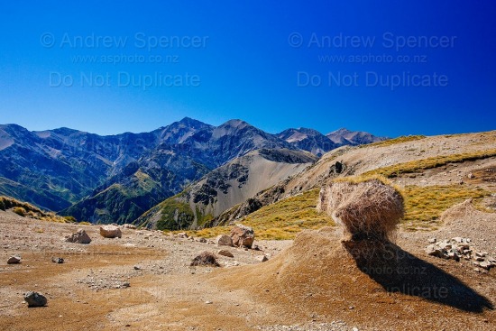Fyffe view of Mt Manakau