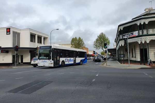 Essay ways to improve bus services