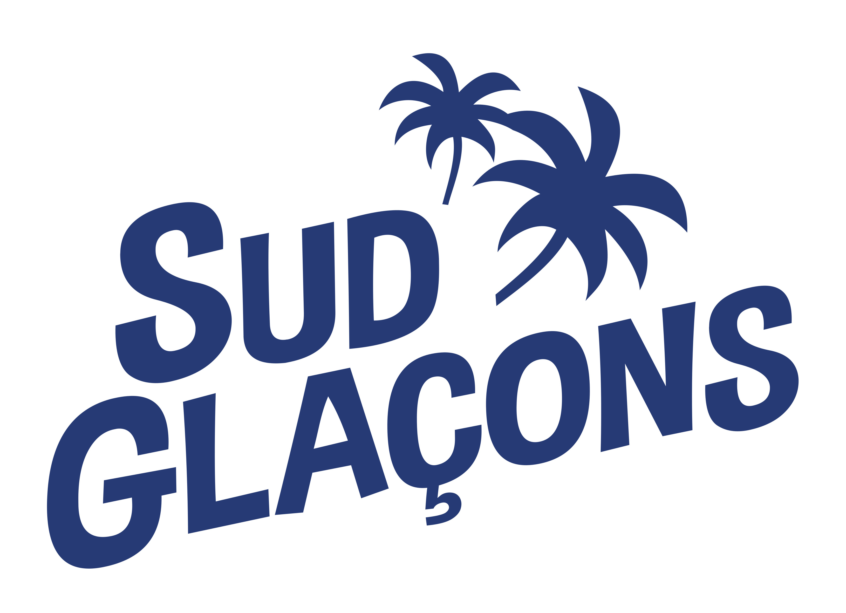 Sud Glaçons