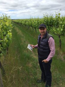 Oli Madgett from Platfarm stands in grape vines holding a tablet