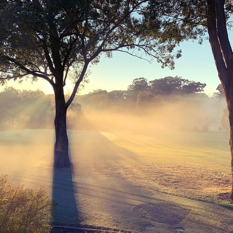 Course Managers Update - Around the Greens in August