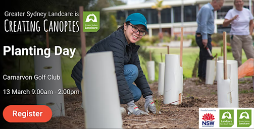 Creating Canopies at Carnarvon