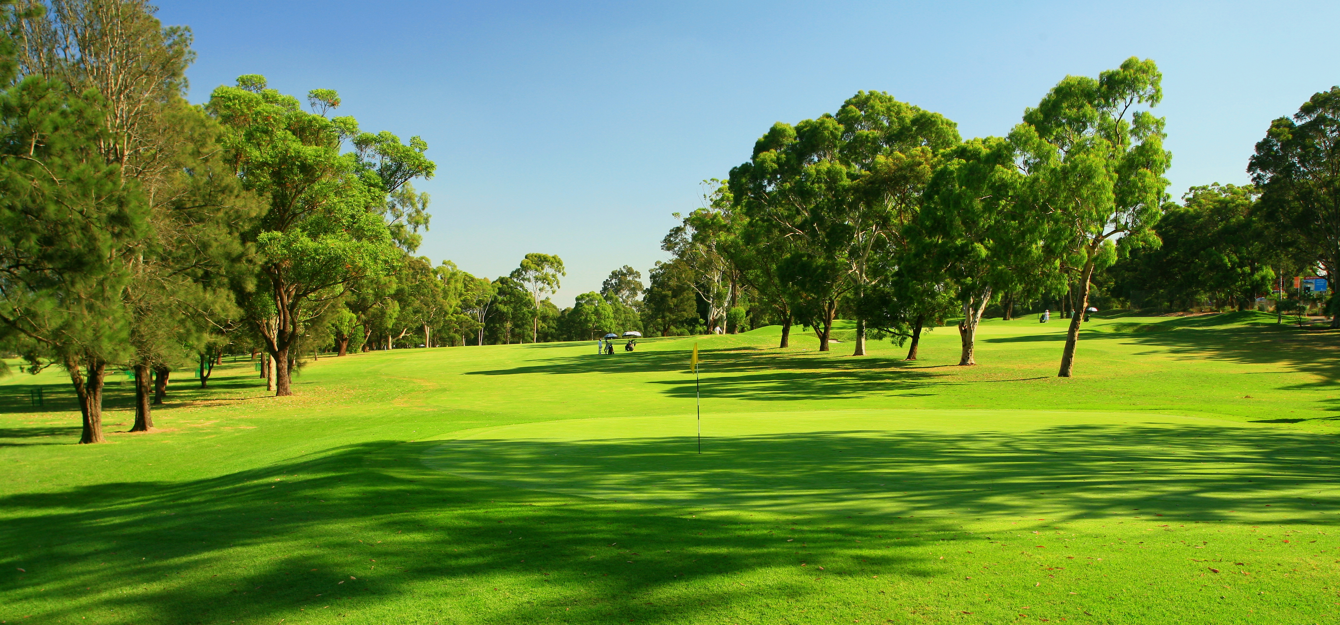 Course Managers Update - Around the Greens in November 2021