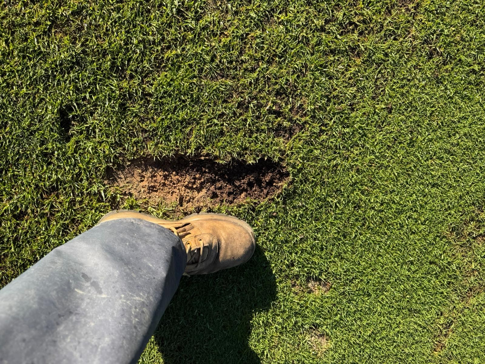 Course Managers Update - Around the Greens in August 2025