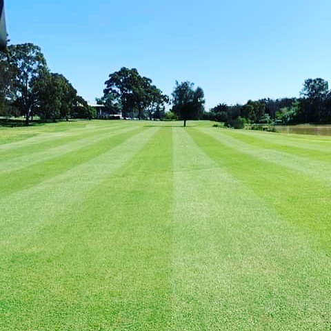 Course Managers Update - Around the Greens in October 2020