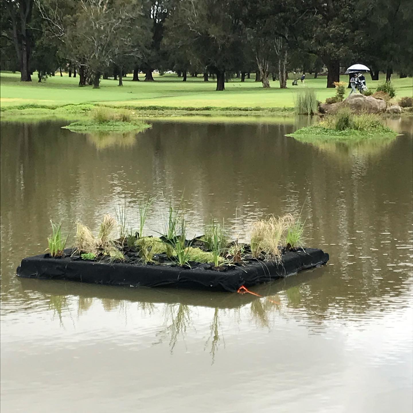 Course Managers Report - Around the Greens in December 2022