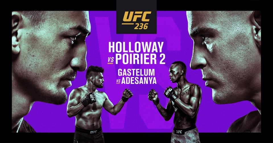 UFC 236