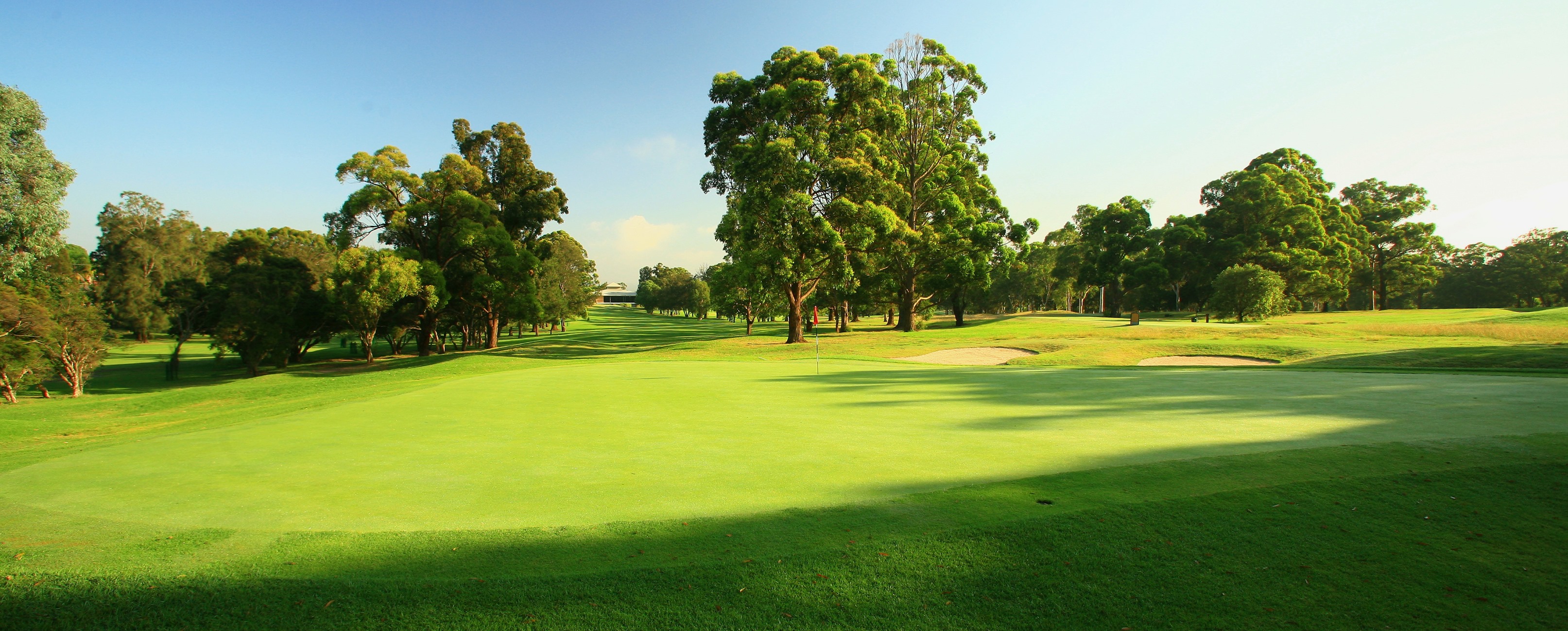 Course Managers Update - Around the Greens in January 2025