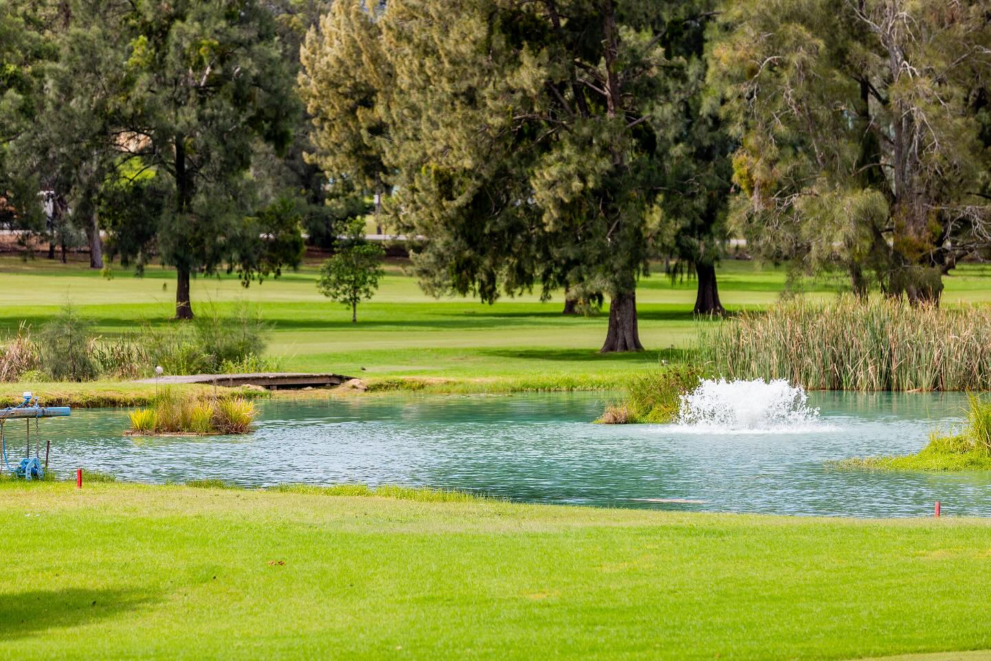 Course Managers Update - Around the Greens in December 2025