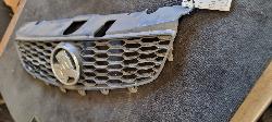 View Auto part Grille Holden Commodore 2010