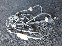 View Auto part Misc Holden Commodore 2010