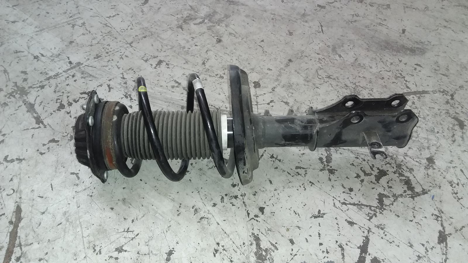2018 Holden Commodore Left Front Strut View Auto part Left Front Strut Holden Commodore 2018