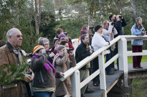Community bird monitoring