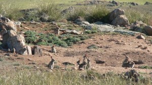 222672-4cb64394-b7f6-11e3-9942-d7dbb3111cd3