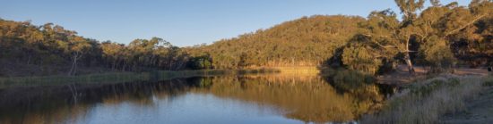 The Expedition Pass Reservoir is a great public place to connect with nature, especially in summer. Photo: John Ellis