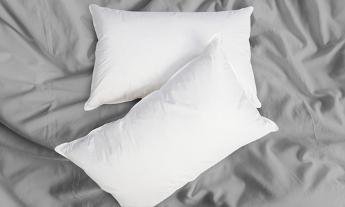 Duck down feather pillow two pack 2327 web1