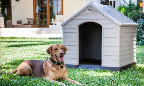 Curver dog house 2989 web1