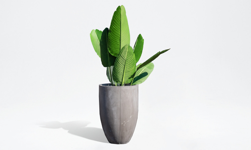 Egg pot med 2660 web1