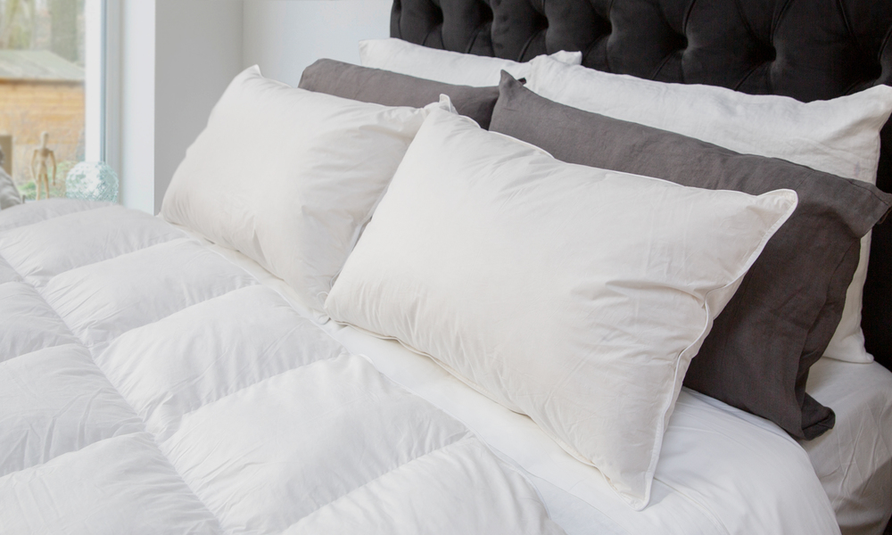 Container Door Ltd Duck Down & Feather Pillow Two Pack 15