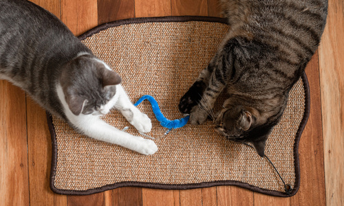 Modern pets cat scratching sisal mat 2927 web3