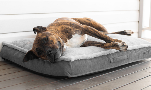 Modern pets orthopedic luxury dog mattress 2931 web1