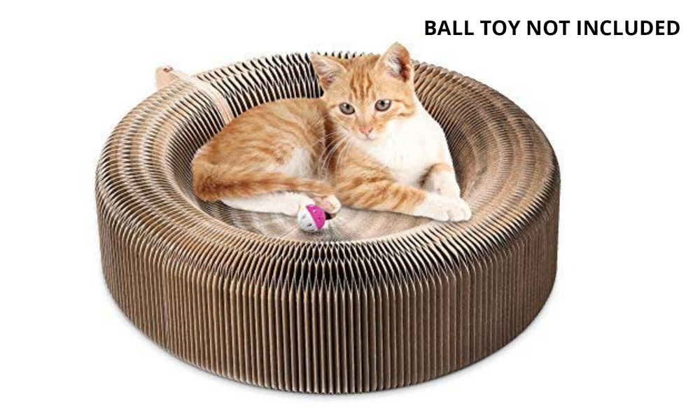 round cat scratcher