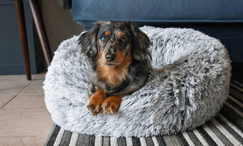 Grey polar pet bed 2965 web2