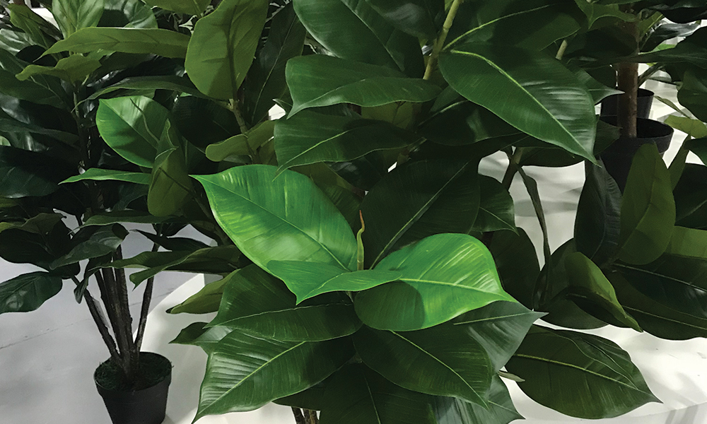 Container Door Ltd Artificial Rubber Plant 150cm 1