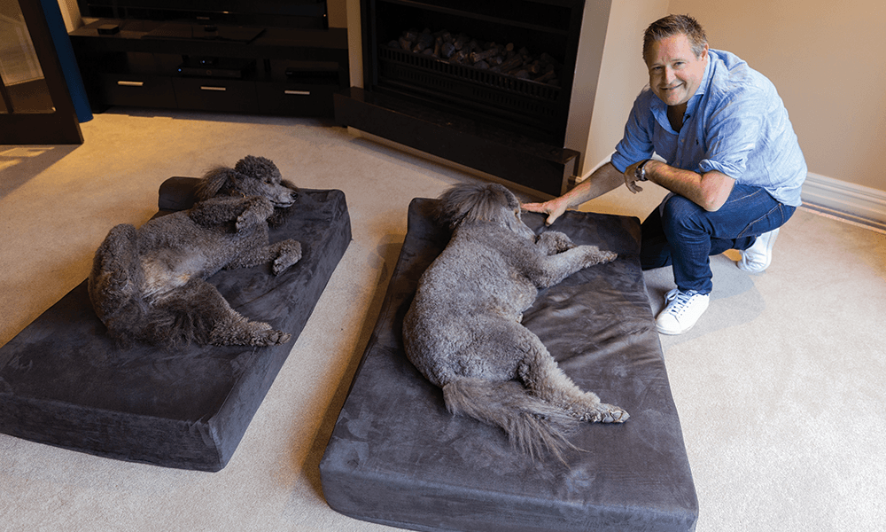Supreme dog bed 2