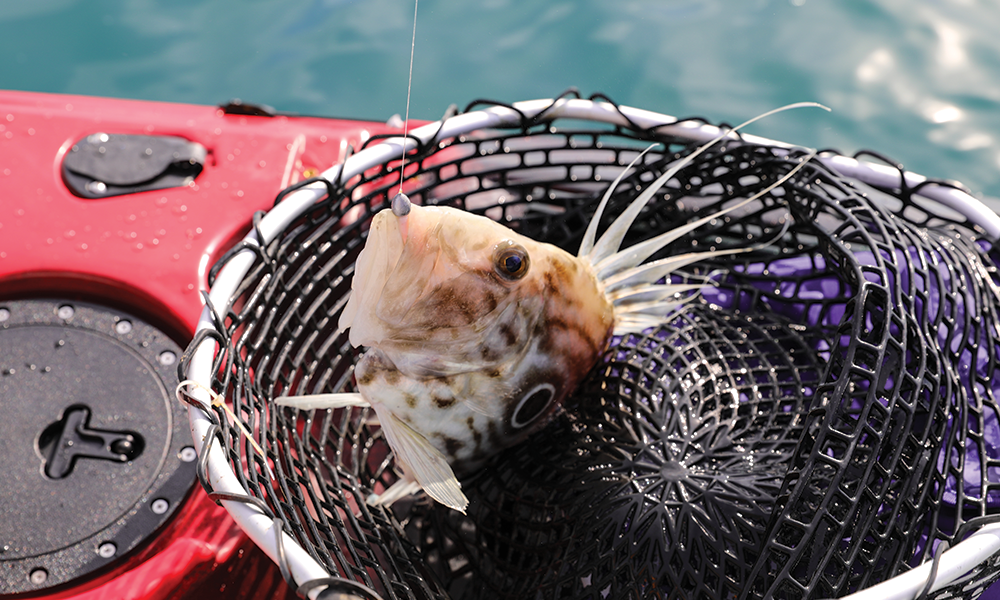 Container Door Ltd 13ft Extreme Fishing Kayak Bundle 34