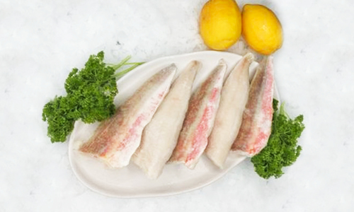 Edited gurnard frozen 1966 web
