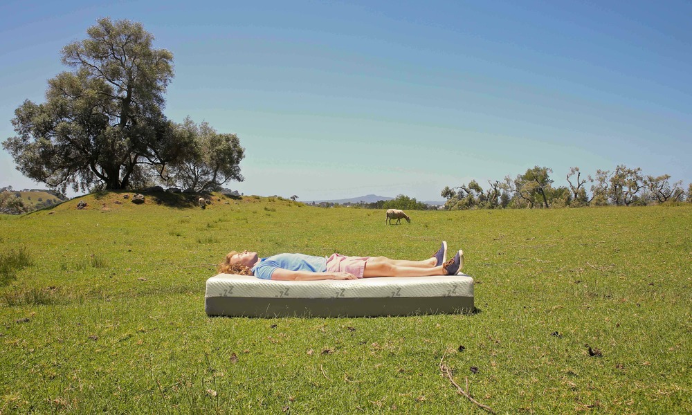 Container Door Ltd Zzz Bed Memory Foam Mattress 60