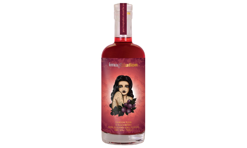 Damson plum blackberry gin liqueur 2334 web1