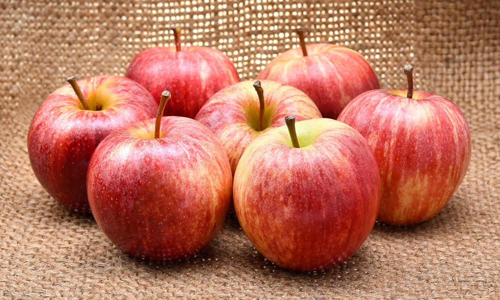 Container Door Ltd 8kg Royal Gala Apples 4