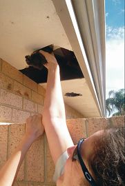 A kitten is pulled from a roof at a Belmont home by RSPCA Senior Inspector Amanda Swift.