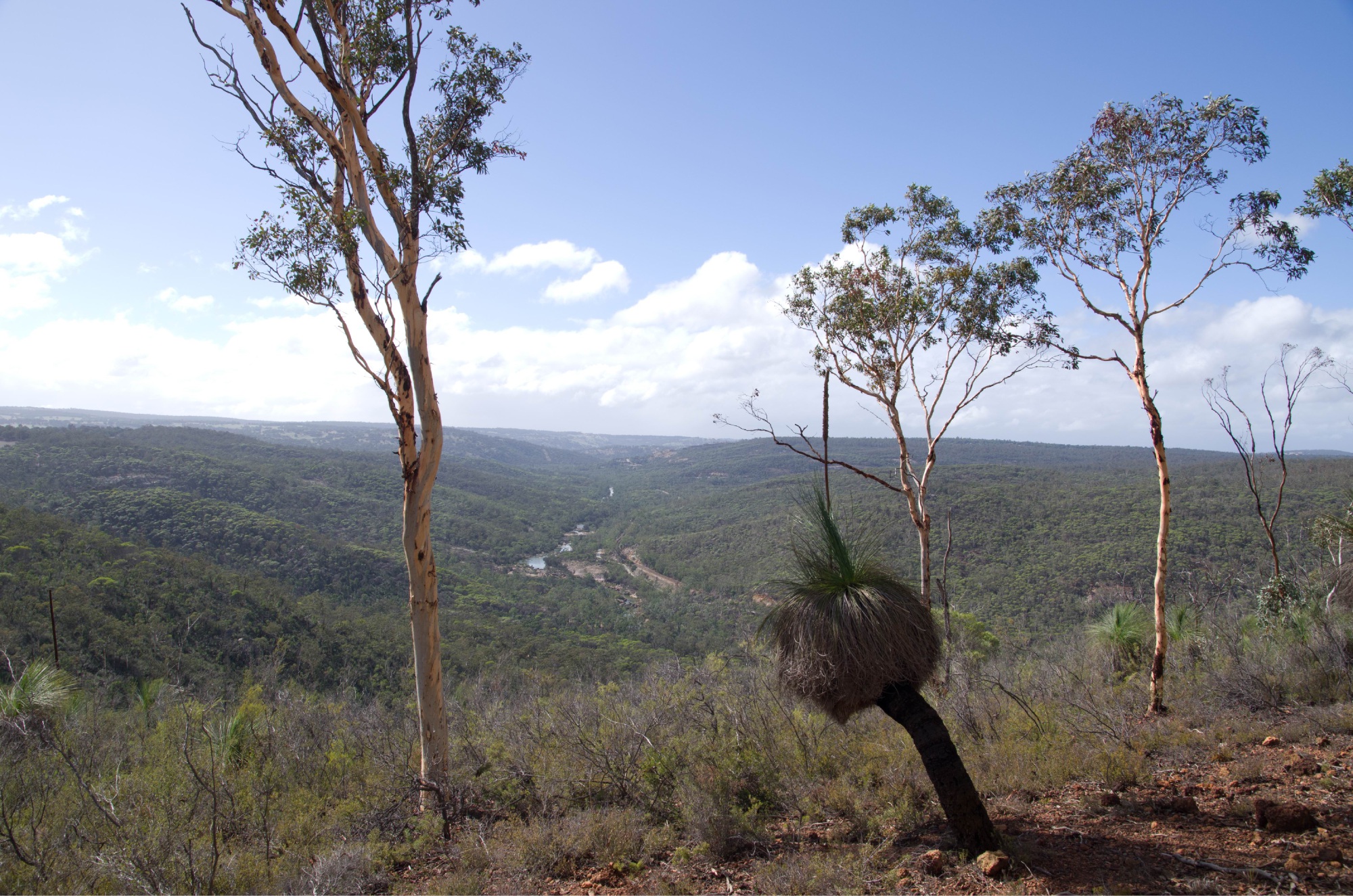 Fire risk forces Avon Valley National Park closure again Community
