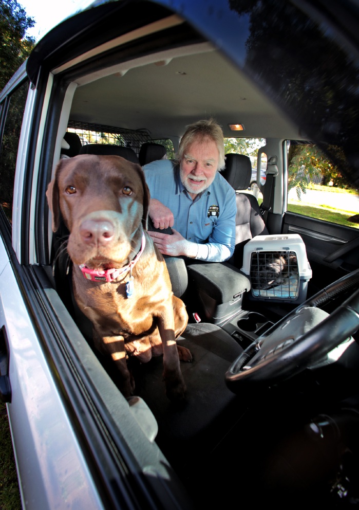 Perth Pet Taxi an Uber service to transport your pet door to door