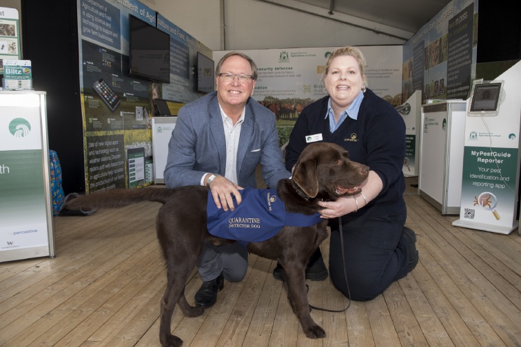 Two new quarantine detector dogs for Perth Airport Community News Group