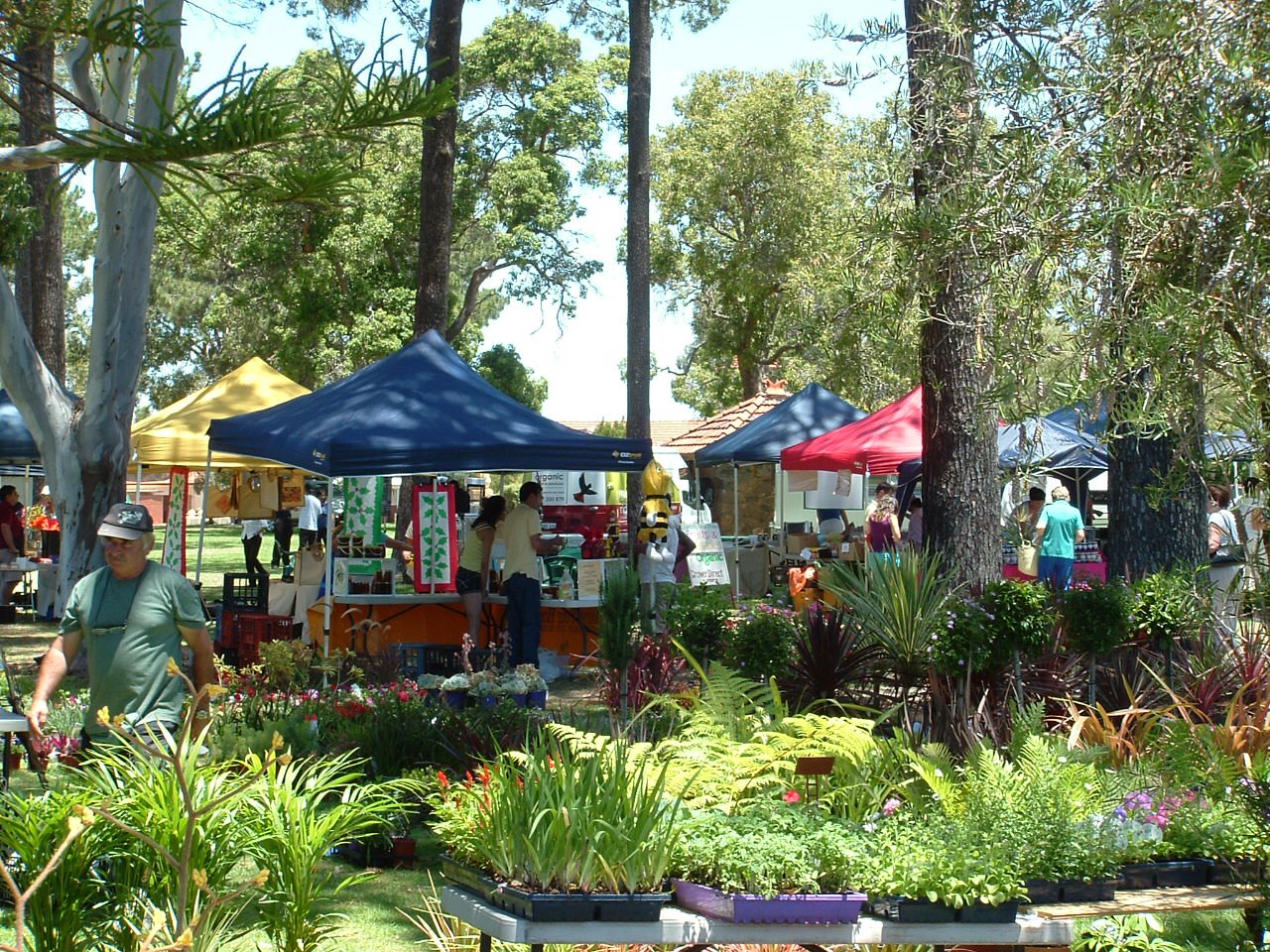 The Farmers Market on Manning set for this Saturday Community News Group
