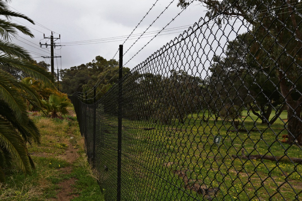 Backyard fencing image