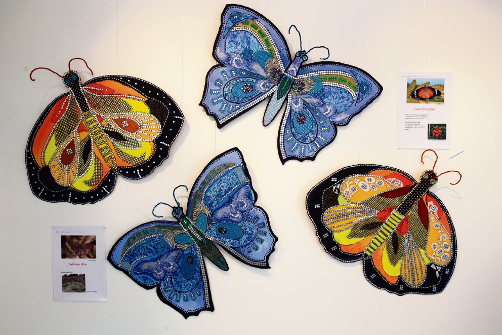 Butterflies, insects and other flying objects swoop into Joondalup Art Gallery Community News