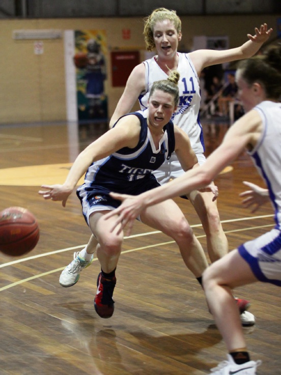 Basketball Willetton Tigers bundled out of competition Community