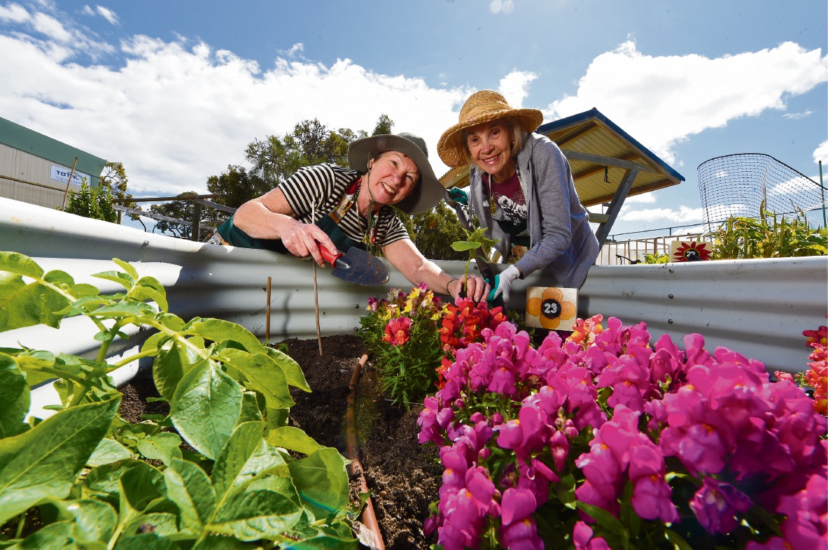 Mandurah Garden Festival in full bloom Community News Group