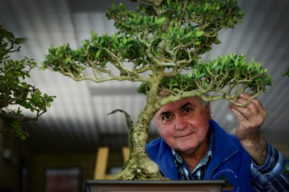 Bonsai Society of WA teams up with Morley art group for annual Seniors