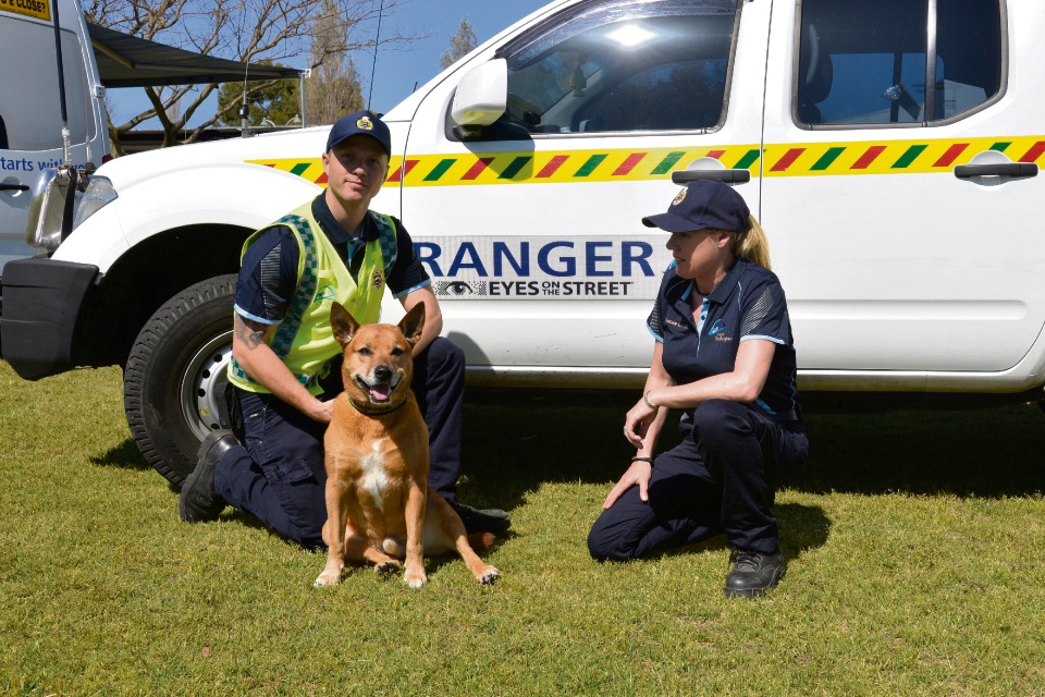 City of Rockingham rangers get new uniforms Community News Group