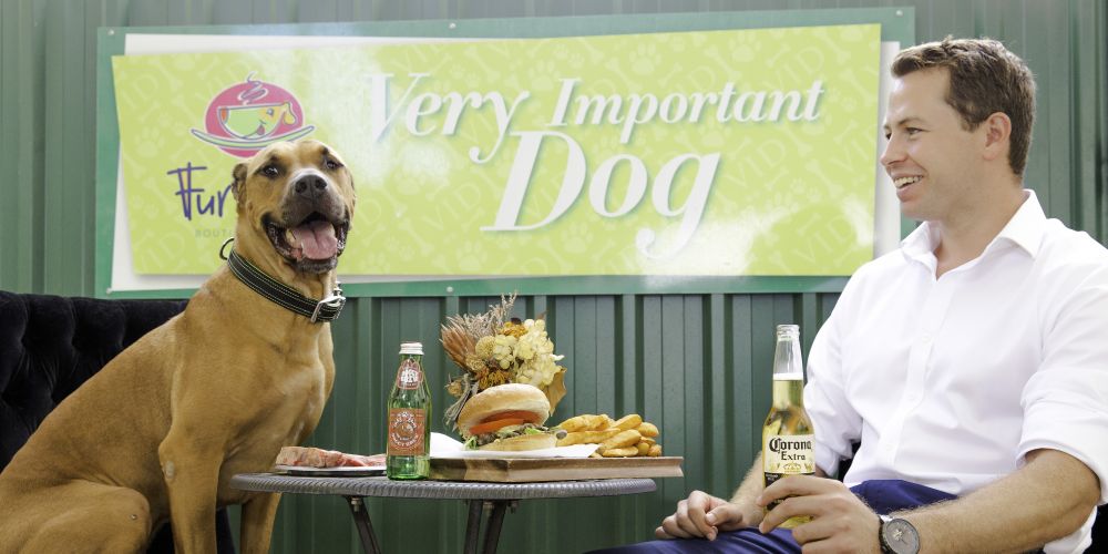 Dog Friendly Cafe Kalamunda Dog Friendly Cafe Kalamunda