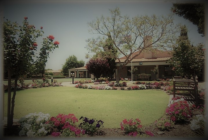 Antique Village Show